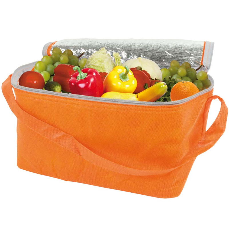 Bolsa isotérmica con cinta de transporte.