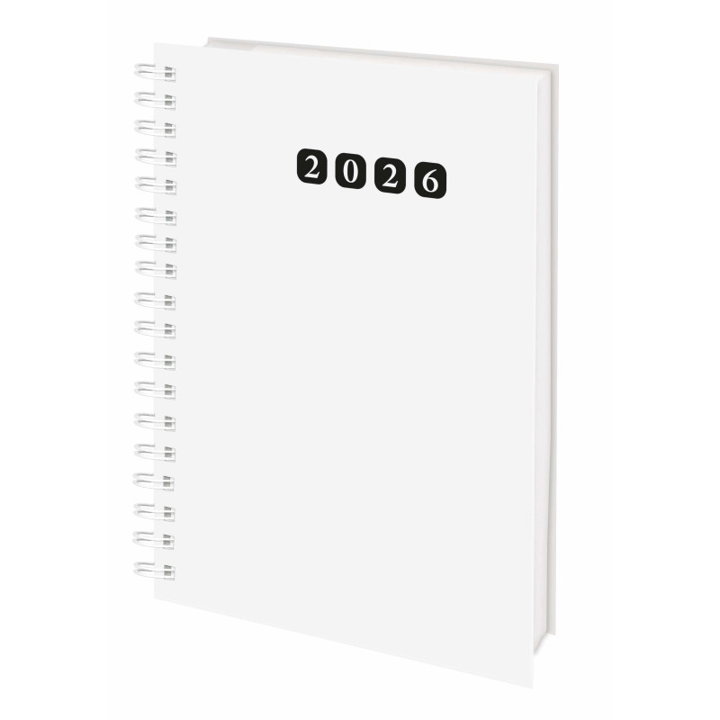 D13-Agenda Dia Wire'o - 55-Recambio