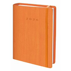 D33-Agenda Dia Wire'o -...