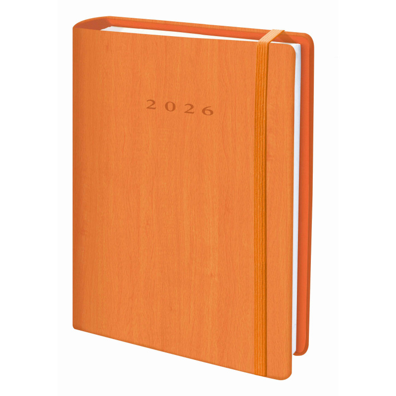 D33-Agenda Dia Wire'o - 6Y-Vivione - 364-Naranja