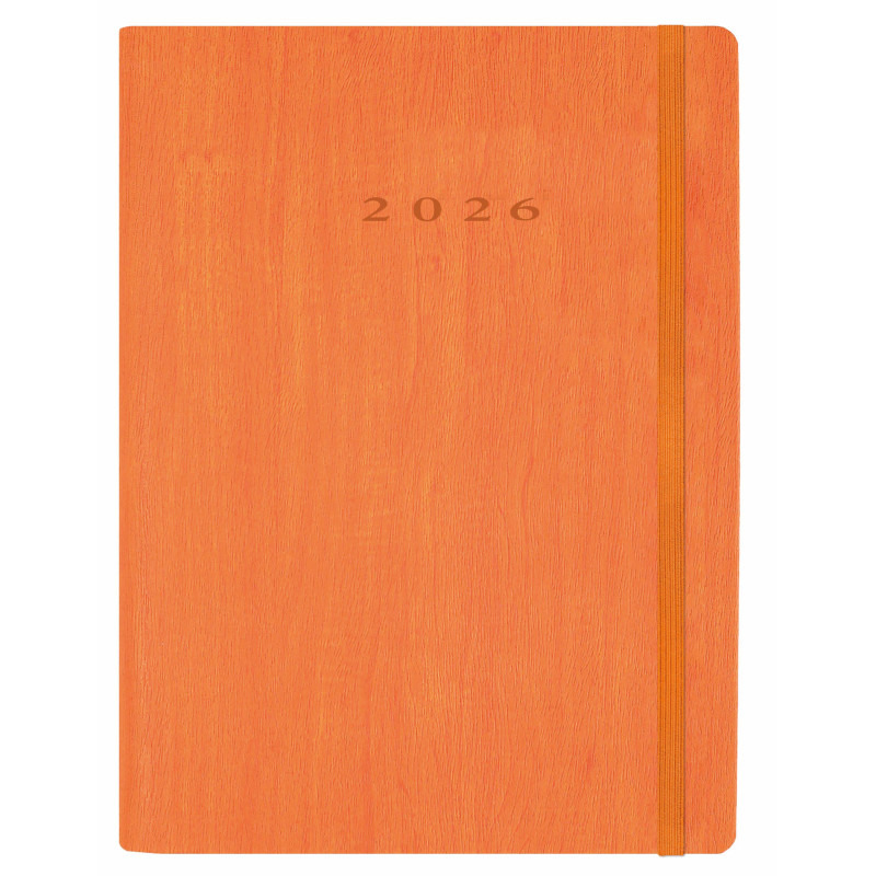 D33-Agenda Dia Wire'o - 6Y-Vivione - 364-Naranja