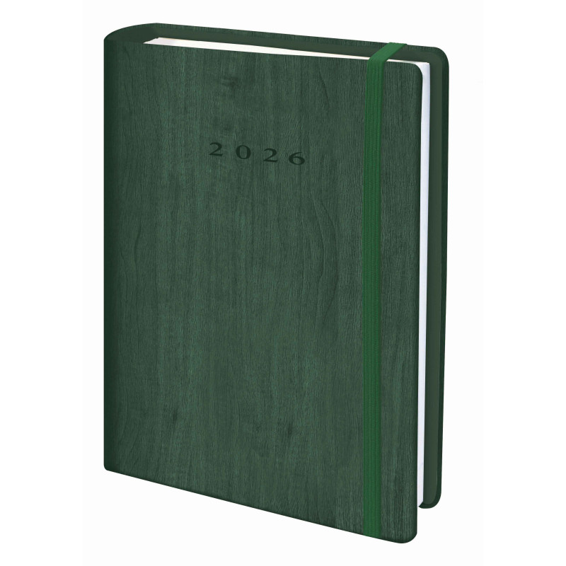 D33-Agenda Dia Wire'o - 6Y-Vivione - 366-Verde