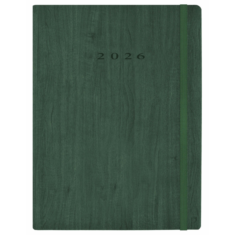 D33-Agenda Dia Wire'o - 6Y-Vivione - 366-Verde