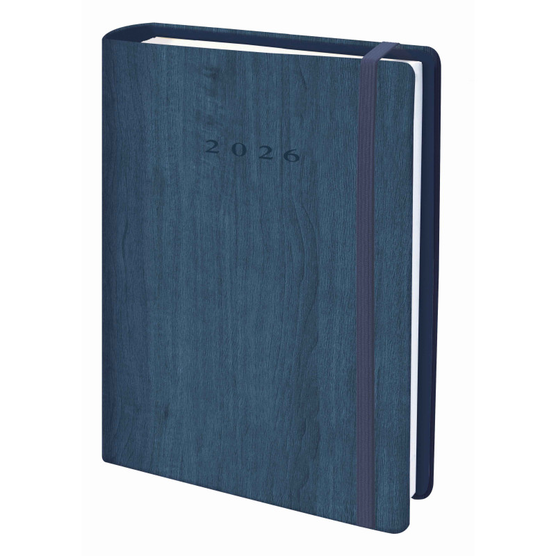 D33-Agenda Dia Wire'o - 6Y-Vivione - 376-Azul