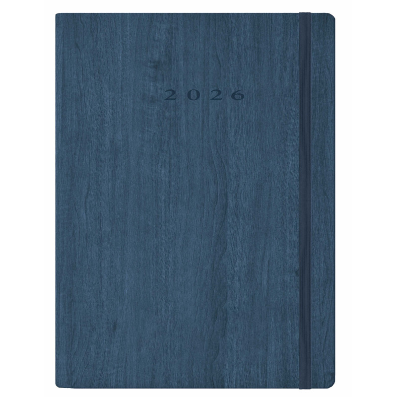 D33-Agenda Dia Wire'o - 6Y-Vivione - 376-Azul