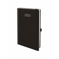 Q84-Agenda Dia Ivory -...