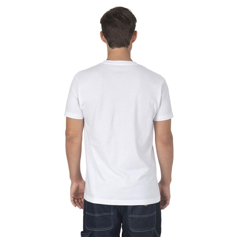 Camiseta de hombre en algodón 100% orgánico 145 gr/m2 (tallas xs a xxl)