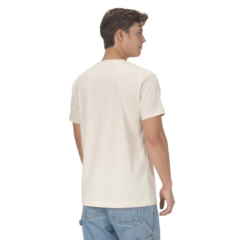 Camiseta de hombre de algodón reciclado 145 gr/m2 (tallas xs a xxl)