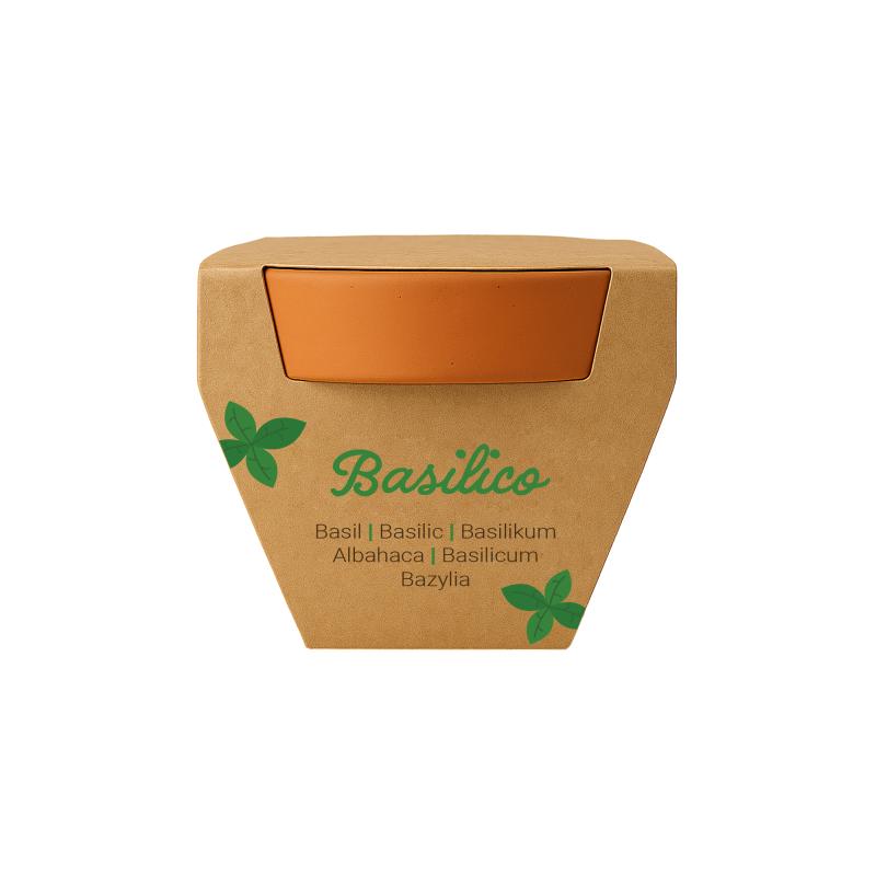 Maceta de terracota natural con turba y cápsula biodegradable con semillas