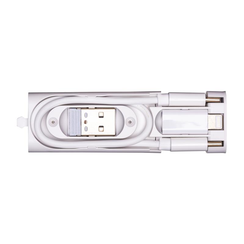 Juego de cables en estuche de plástico