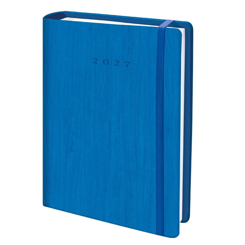 D33-Agenda Día Wire'o 6Y-Vivione 353-Azul
